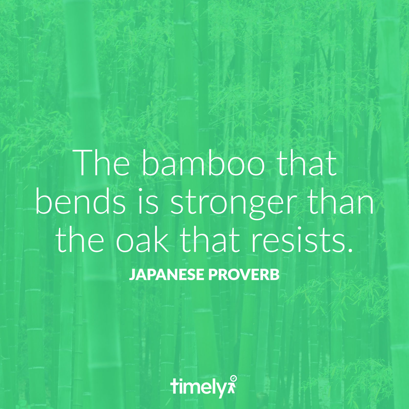 bamboo that bends quote
